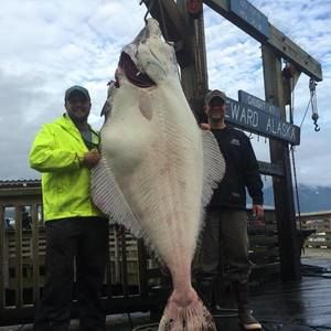 Meet your Posher, Kevin